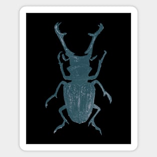 Beetle, Three Magnet